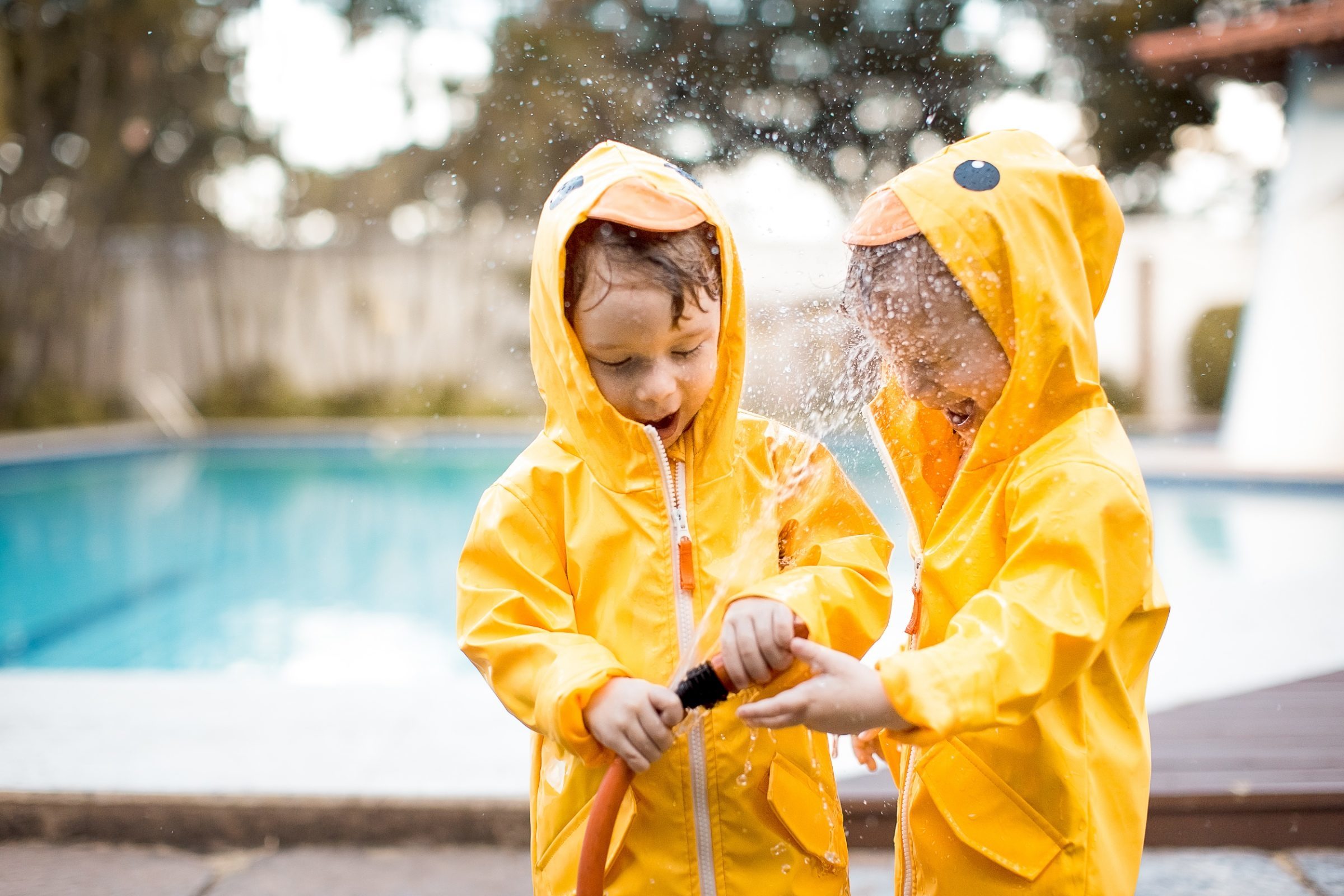 Foto de LOUREIROS FOTOGRAFIA 12 Foto de LOUREIROS FOTOGRAFIA 12