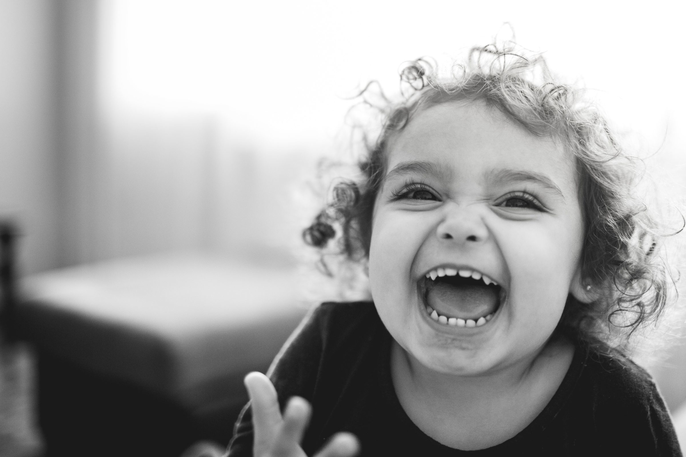 Foto de LOUREIROS FOTOGRAFIA 9 Foto de LOUREIROS FOTOGRAFIA 9