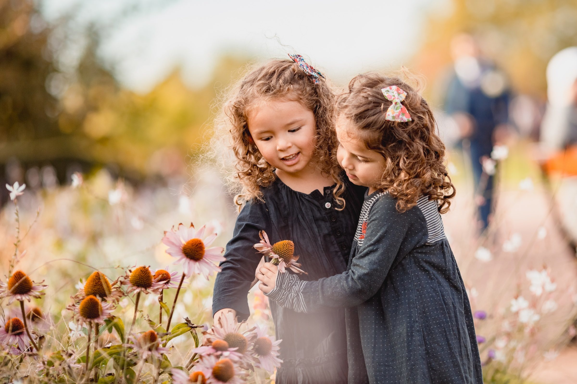 Foto de LOUREIROS FOTOGRAFIA 4 Foto de LOUREIROS FOTOGRAFIA 4