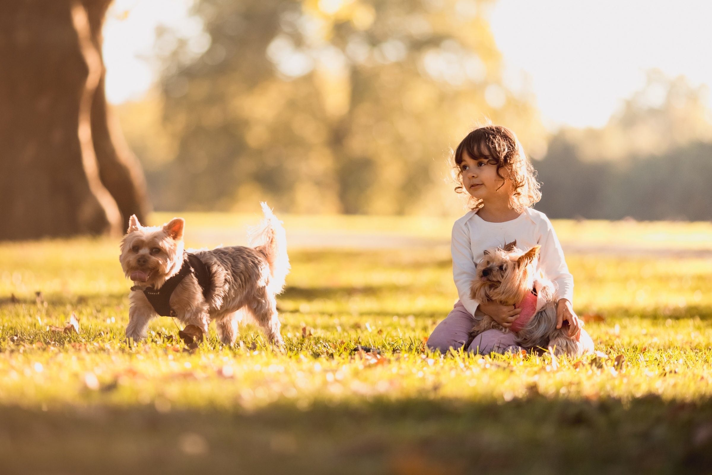 Foto de LOUREIROS FOTOGRAFIA 14 Foto de LOUREIROS FOTOGRAFIA 14