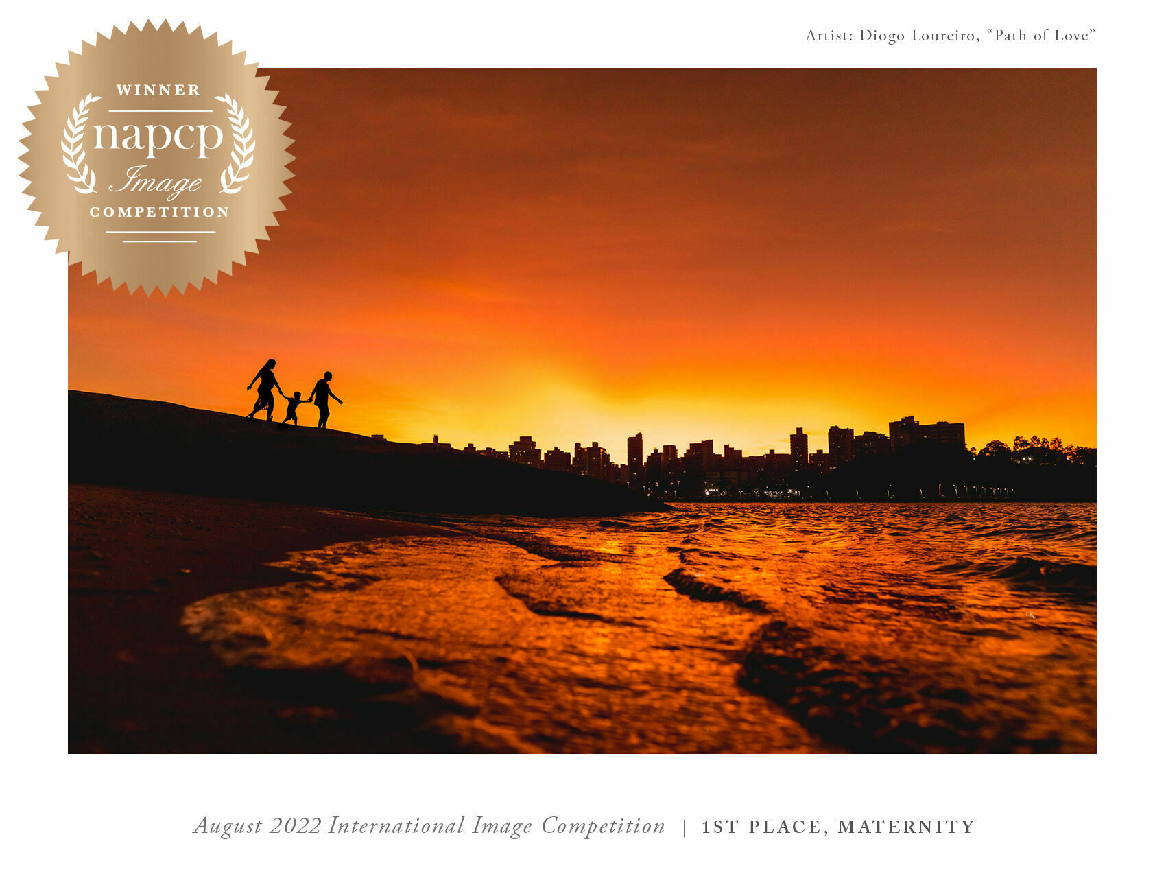2022 NAPCP International Image Competition