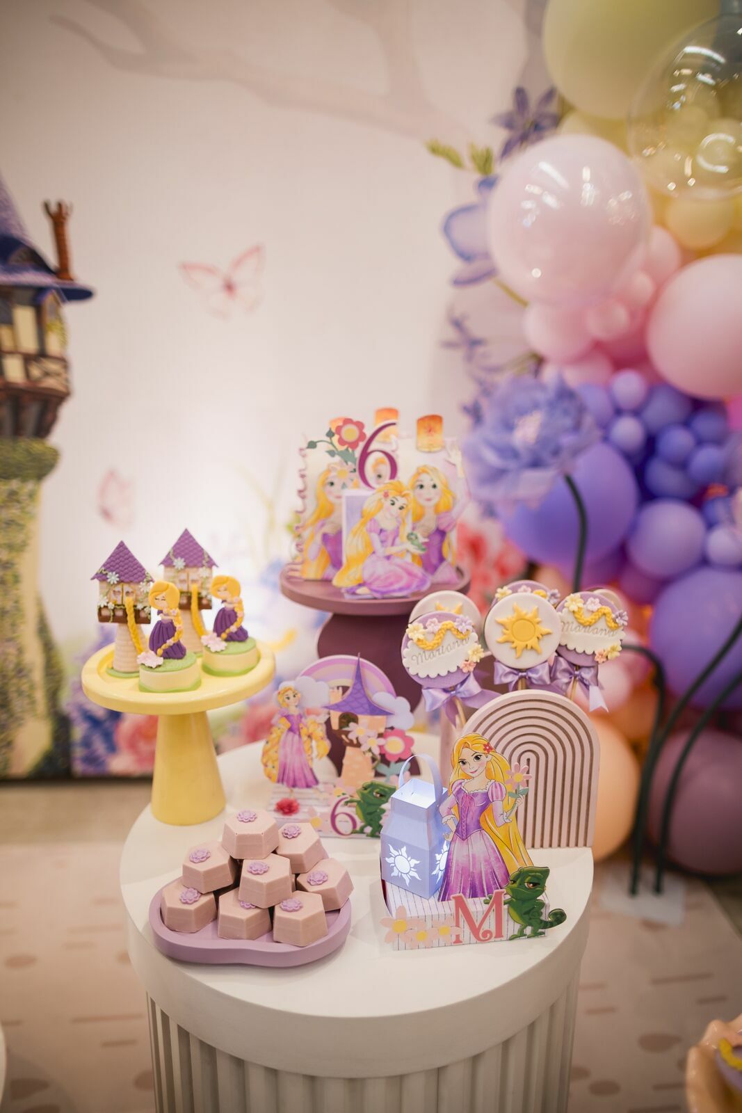 Foto Aniversário Infantil . Manuela 6 anos . Rapunzel . Vila Pindô . Serra - ES Foto Aniversário Infantil . Manuela 6 anos . Rapunzel . Vila Pindô . Serra - ES - Imagem 3