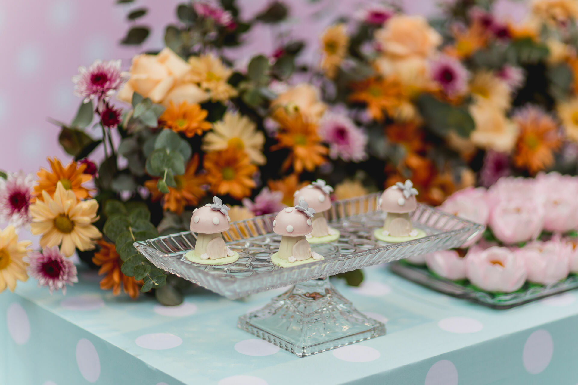 Foto Festa Infantil . Bella 1 ano . Jardim . Casa Dugê . Vitória - ES - Imagem 5