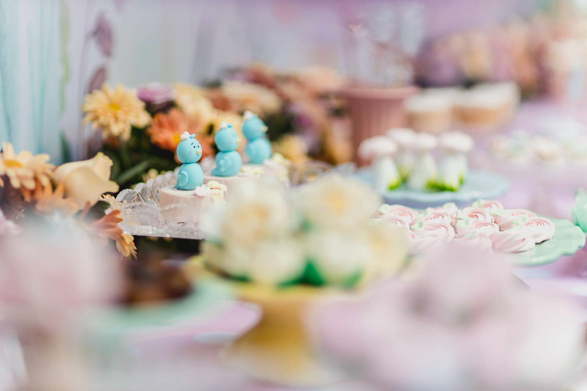 Foto Festa Infantil . Bella 1 ano . Jardim . Casa Dugê . Vitória - ES - Imagem 8