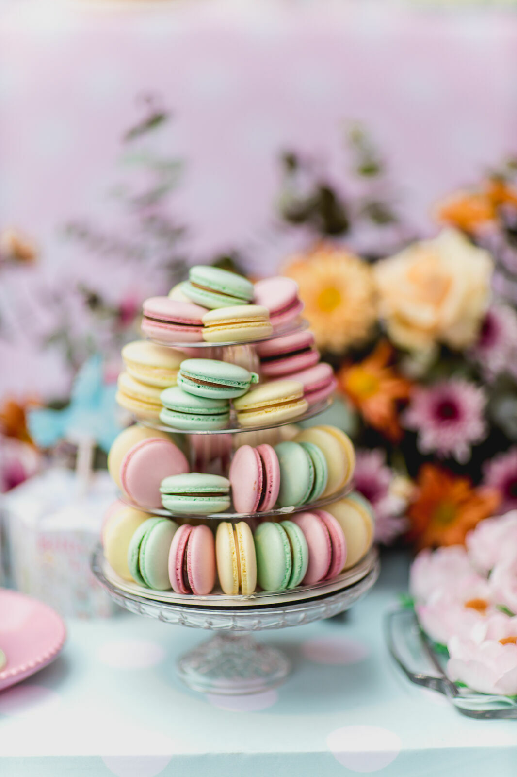 Foto Festa Infantil . Bella 1 ano . Jardim . Casa Dugê . Vitória - ES - Imagem 1