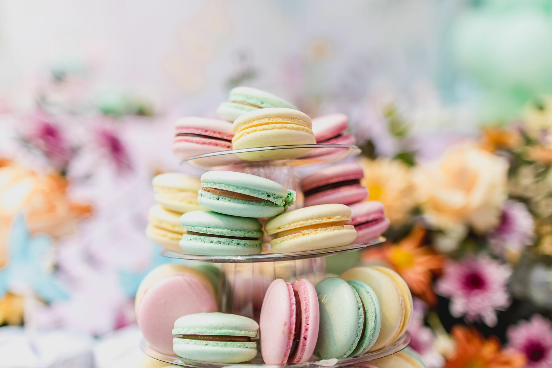 Foto Festa Infantil . Bella 1 ano . Jardim . Casa Dugê . Vitória - ES - Imagem 9