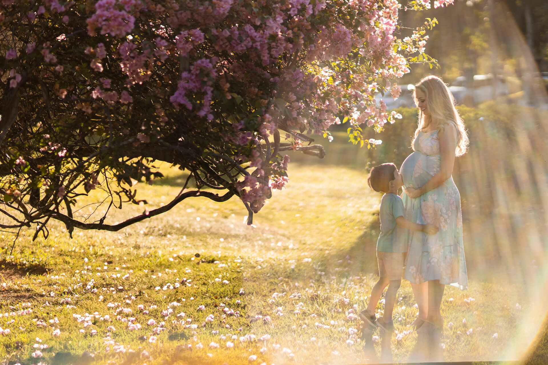 Foto Ensaio Gestante . Flamboyant . Guarapari - ES - Imagem 2