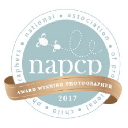 imagem Napcp Award Winning Photographer 2017